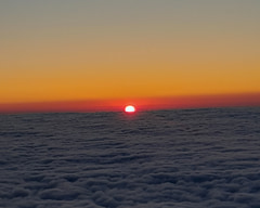 جومِس متا — صورة 8